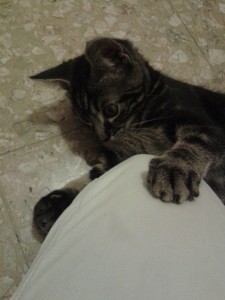 lucky